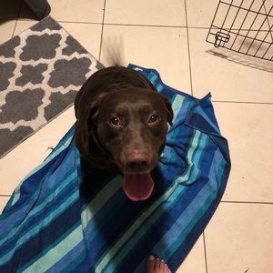 Meet your Posher, Marisol